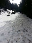 IMG-20180216-WA0003.jpg
