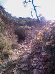 DSC_1184.jpg