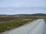 IMG_0081.JPG