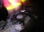 nocturna015.jpg
