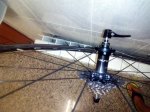 IMG-20170824-WA0014.jpg