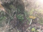 IMG-20180225-WA0022.jpg
