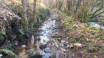 IMG-20180225-WA0021.jpg