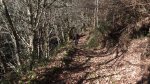 IMG-20180225-WA0018.jpg