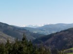 IMG_20180225_142317.jpg