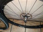 IMG-20180305-WA0009.jpg