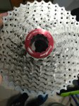 IMG_20180307_074735-1560x2080.jpg