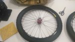 IMG-20171121-WA0045.jpg