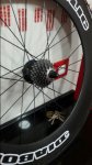20180308_075018.jpg