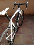 IMG-20180308-WA0019.jpg