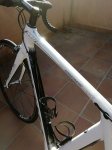 IMG-20180308-WA0017.jpg