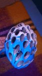 12226918_1037475219618815_5276707276742347695_n.jpg