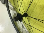 IMG-20180315-WA0012.jpg