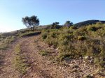 Imagen015as.jpg