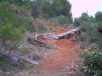 walride con salto.JPG