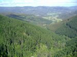 Img_3133.jpg