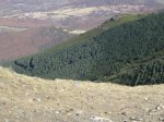 IMG_1813.JPG