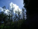 Img_3141.jpg