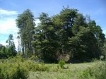 Img_3165.jpg
