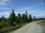 Img_3169.jpg