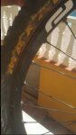 20180316_134046.jpg