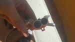 20180316_144011.jpg