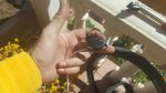 20180316_134517.jpg