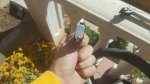 20180316_134522.jpg