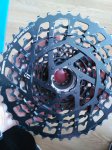 IMG_20180321_112301-1560x2080.jpg