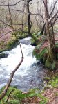 20180319_120251.jpg