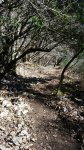 IMG-20180322-WA0032.jpg