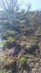 IMG-20180322-WA0035.jpg