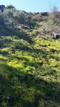 IMG-20180322-WA0034.jpg