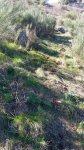 IMG-20180322-WA0033.jpg