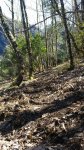 IMG-20180322-WA0028.jpg