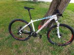 mondraker (5).jpg