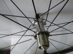 IMG-20180330-WA0022.jpg