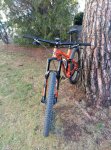 IMG-20180225-WA0031.jpg