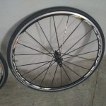 20180406_125647.jpg
