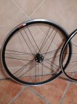 IMG-20180407-WA0024.jpg