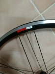 IMG-20180407-WA0030.jpg