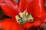 DSC_2712 2.JPG