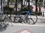 DSCN4808.JPG