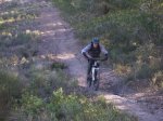 Motard.jpg