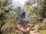 Motard 1.jpg