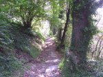 PIC_0003.JPG