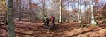 P1020438-40-41+ (Large).jpg