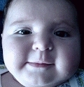 MOV00008-new.gif