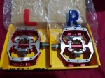 20180215_105333.jpg