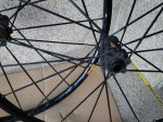 IMG-20180403-WA0007.jpg
